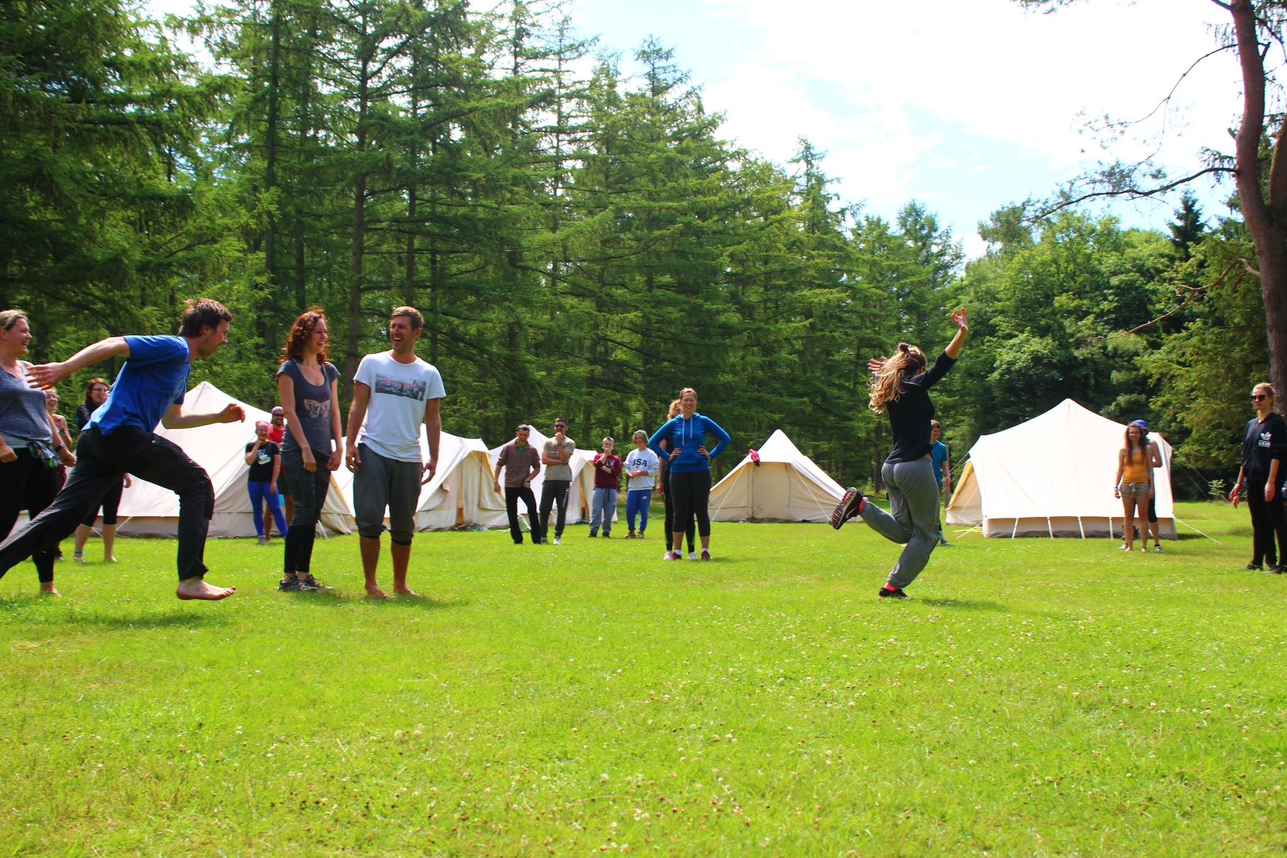 2017 сведоштва
