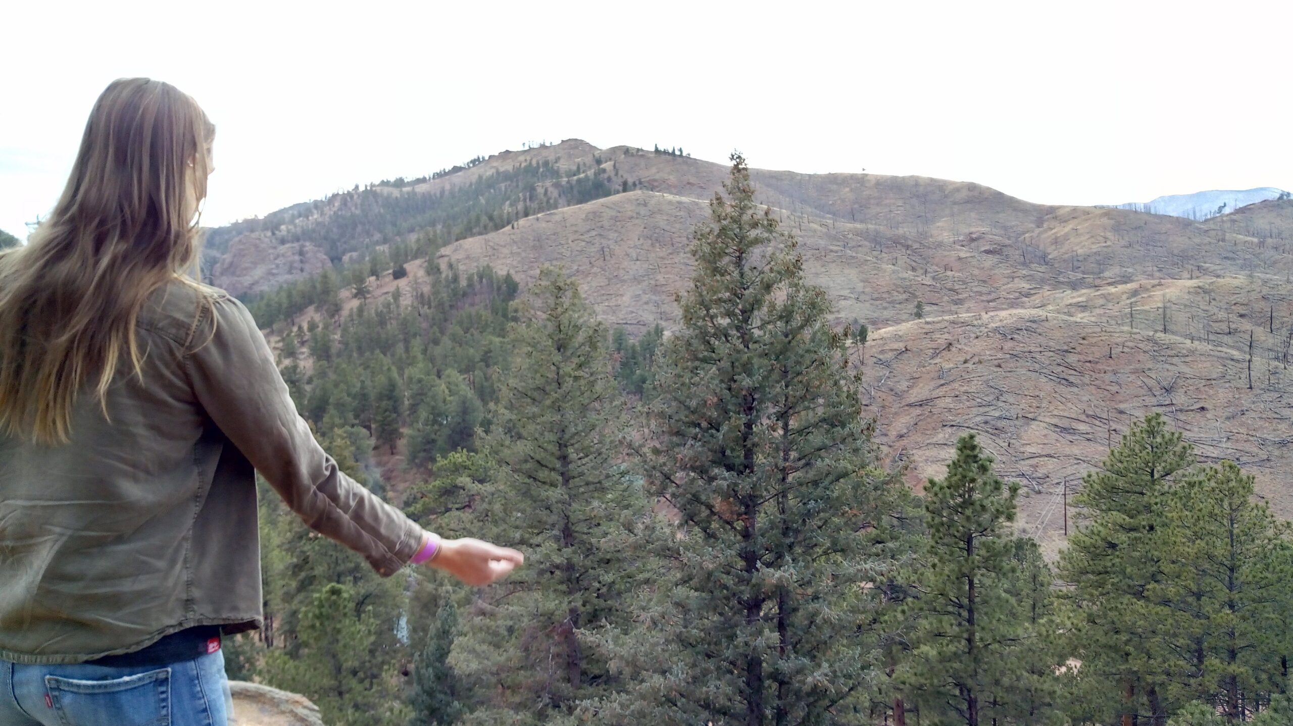 Сведоштва 2018